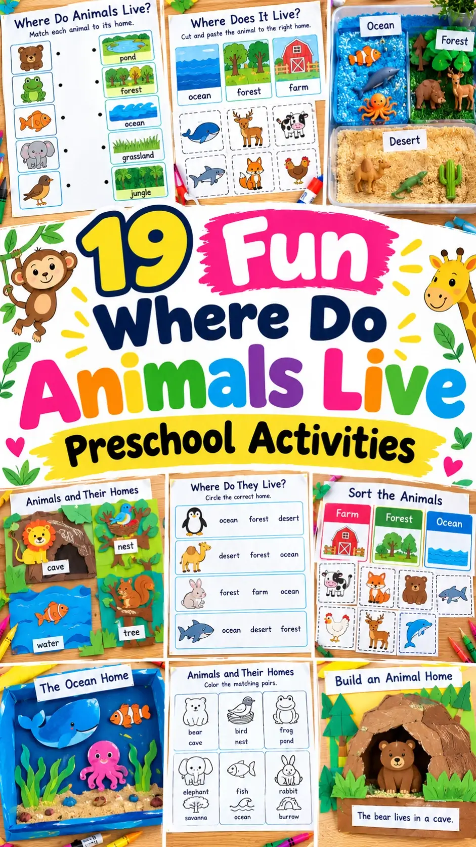 Where Do Animals Live Preschool Activities