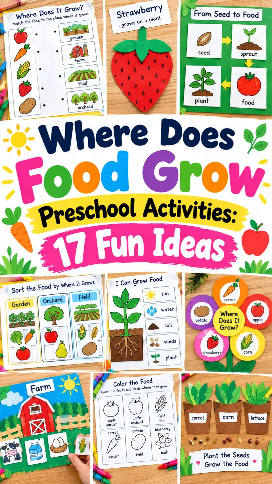 Where Does Food Grow Preschool Activities